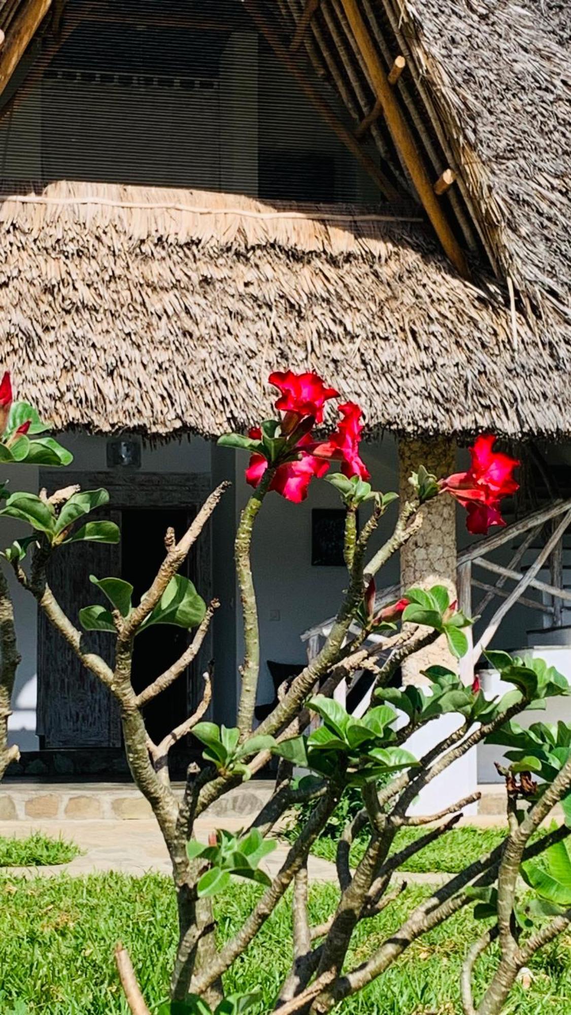 Bed and Breakfast Nyuso Za Afrika Watamu Esterno foto