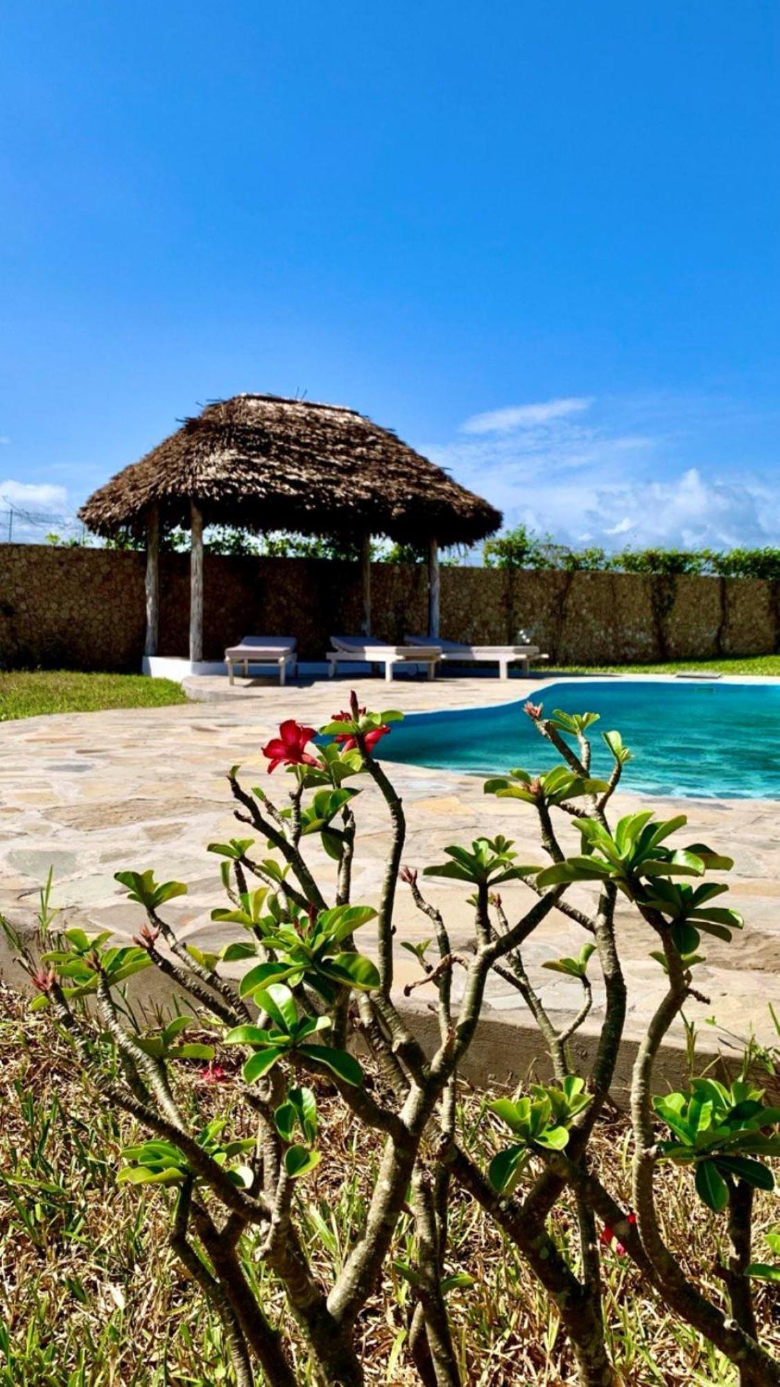 Bed and Breakfast Nyuso Za Afrika Watamu Esterno foto
