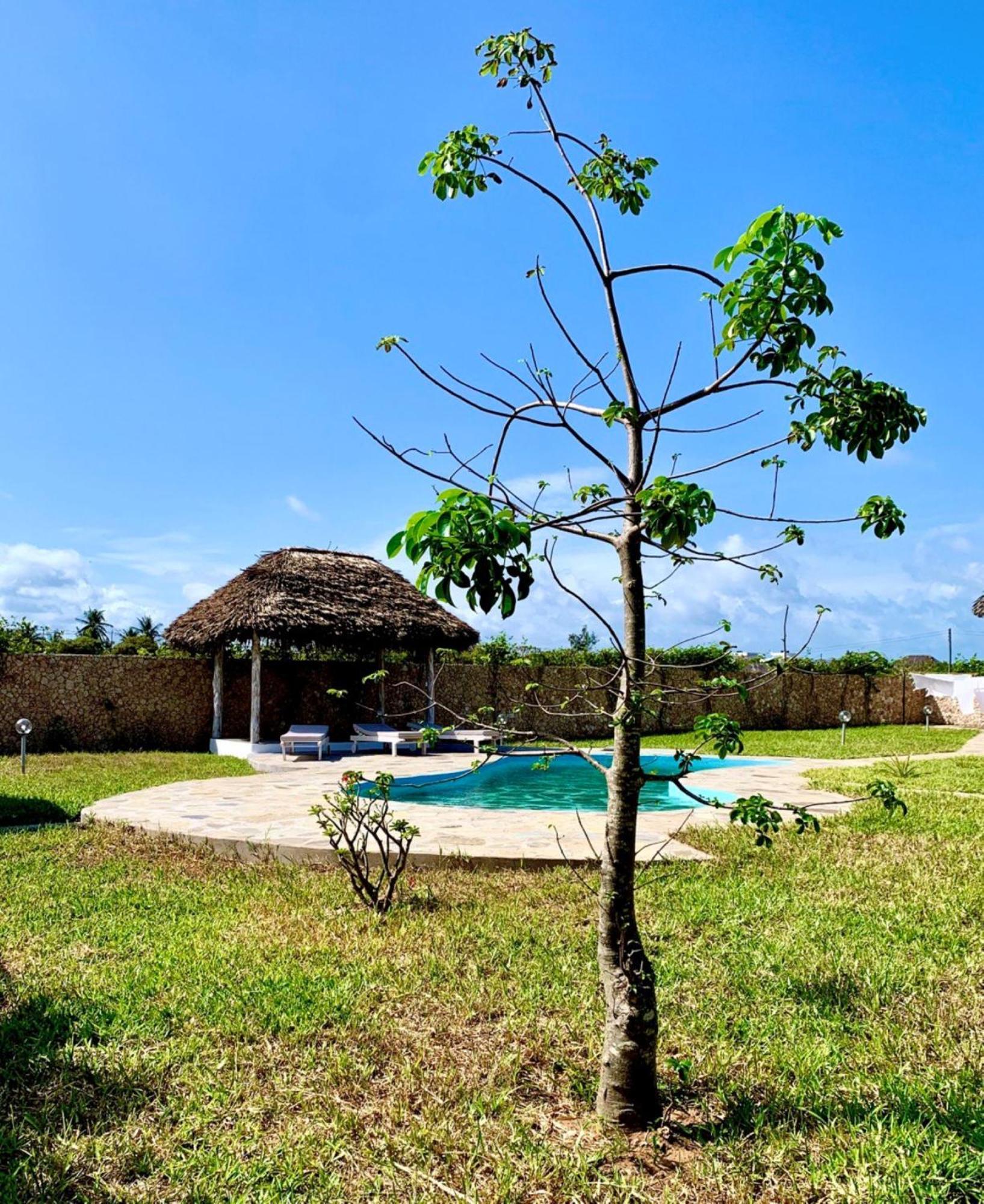 Bed and Breakfast Nyuso Za Afrika Watamu Esterno foto