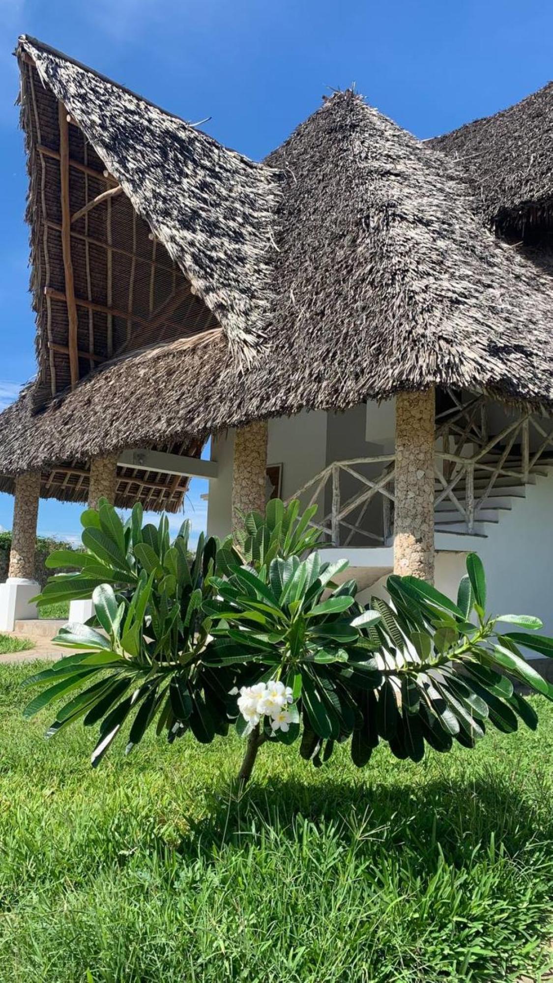 Bed and Breakfast Nyuso Za Afrika Watamu Esterno foto